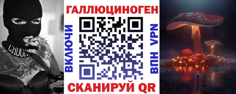 где купить   Кинешма  Псилоцибиновые грибы Psilocybe 